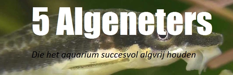 algeneters-logo